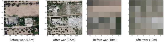 NatureCities1.png